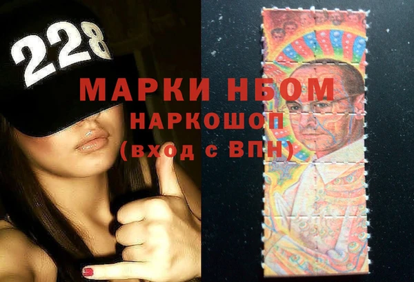 прущие грибы Армянск