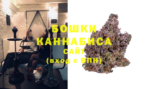 прущие грибы Армянск