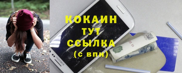 прущие грибы Армянск
