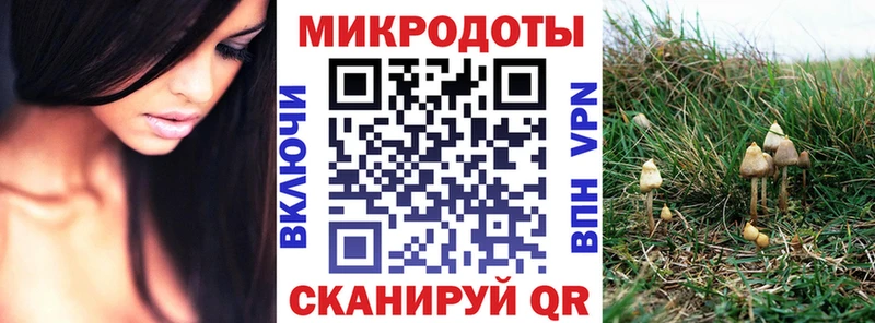 Псилоцибиновые грибы Cubensis  Краснотурьинск 