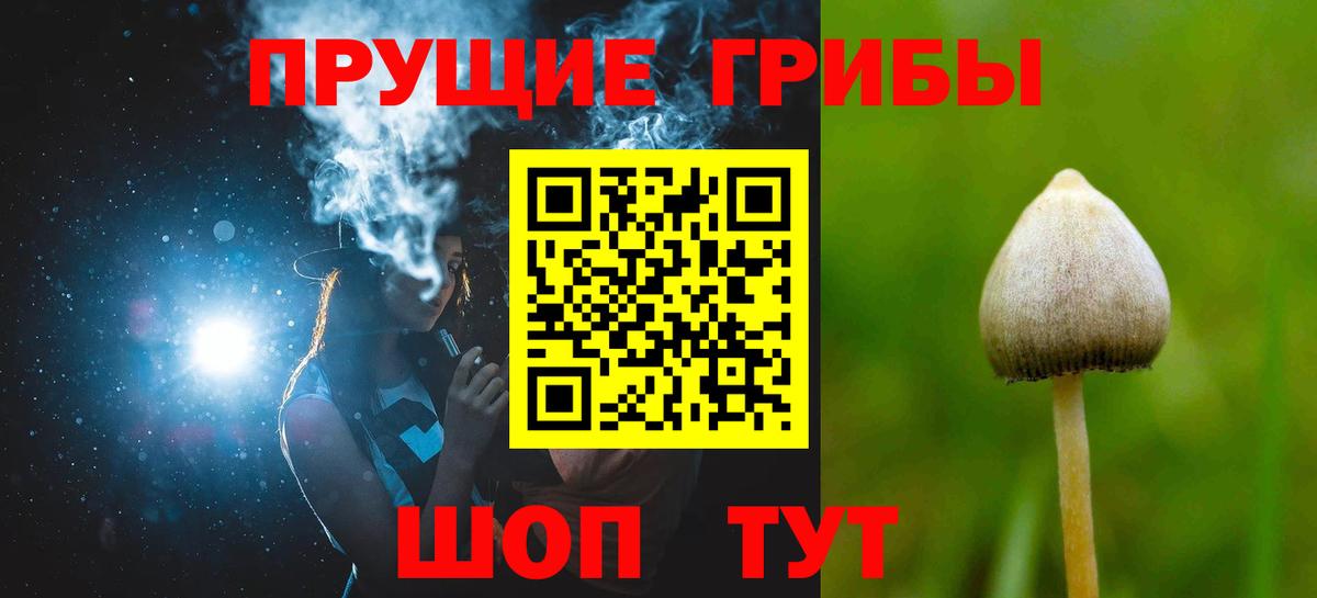 Псилоцибиновые грибы Magic Shrooms Краснотурьинск